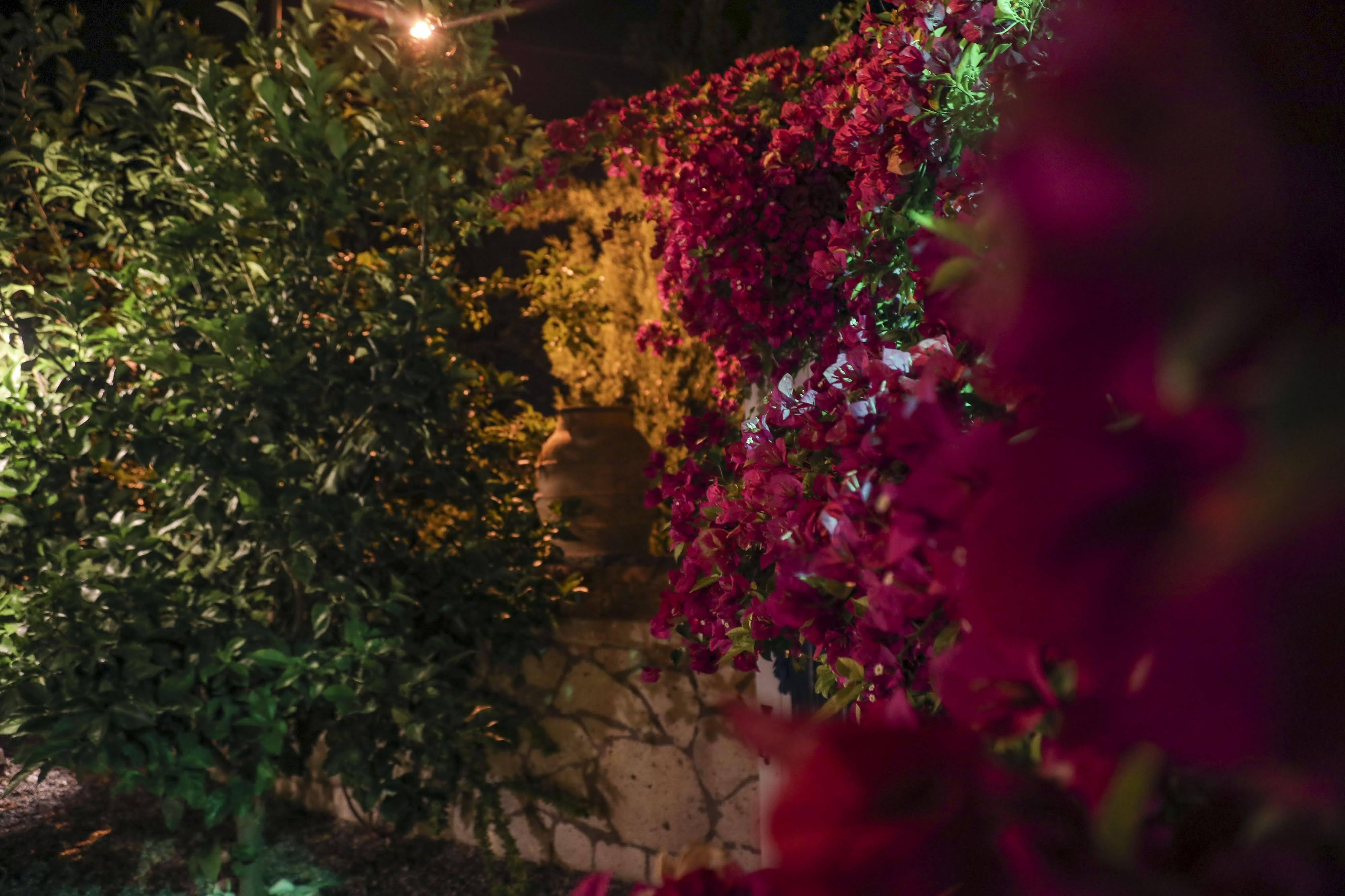 Sari Gelin Alacati Hotel 외부 사진
