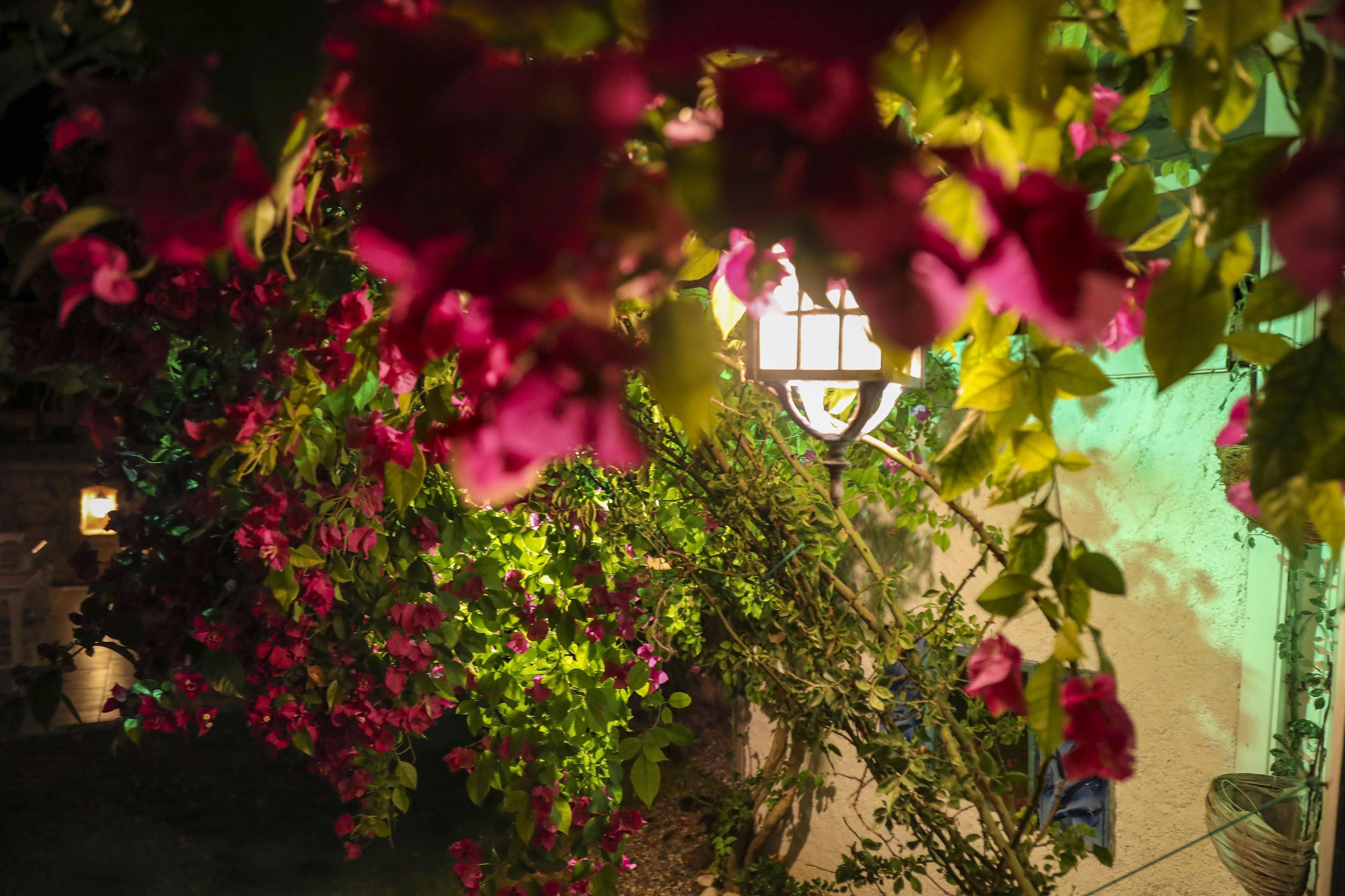 Sari Gelin Alacati Hotel 외부 사진